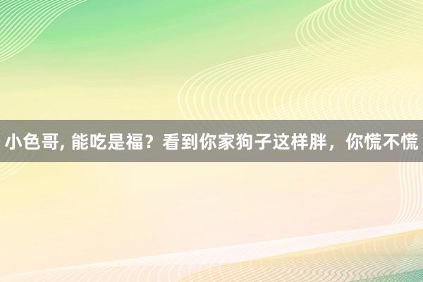 小色哥， 能吃是福？看到你家狗子这样胖，你慌不慌