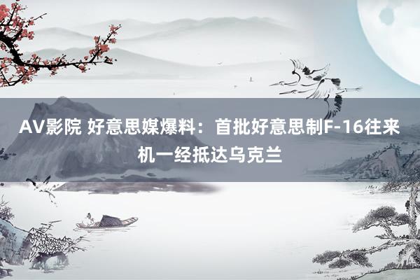 AV影院 好意思媒爆料：首批好意思制F-16往来机一经抵达乌克兰