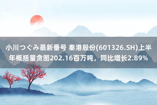 小川つぐみ最新番号 秦港股份(601326.SH)上半年概括量贪图202.16百万吨，同比增长2.89%