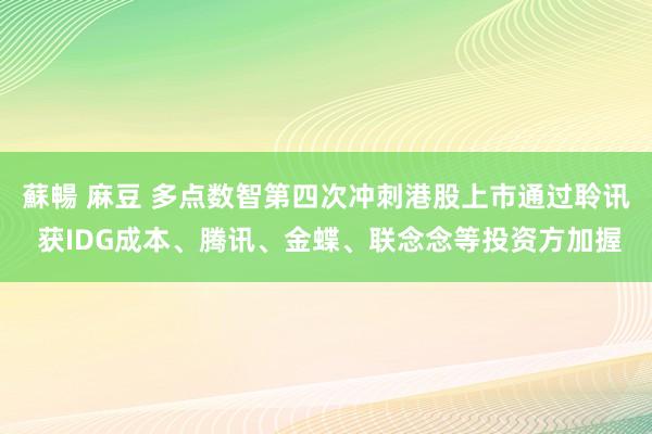 蘇暢 麻豆 多点数智第四次冲刺港股上市通过聆讯 获IDG成本、腾讯、金蝶、联念念等投资方加握