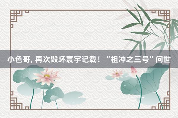 小色哥， 再次毁坏寰宇记载！“祖冲之三号”问世