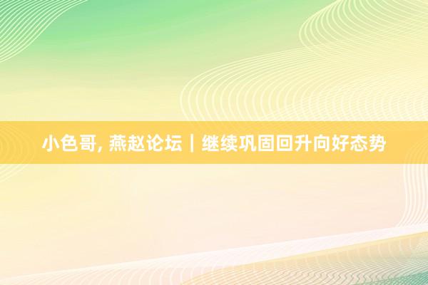 小色哥， 燕赵论坛｜继续巩固回升向好态势