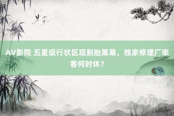 AV影院 五星级行状区现割胎黑幕，独家修理厂宰客何时休？