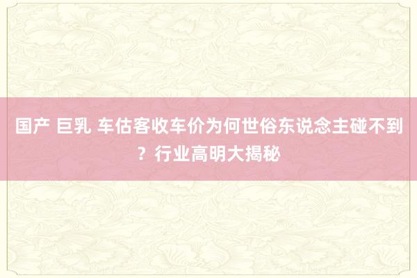 国产 巨乳 车估客收车价为何世俗东说念主碰不到？行业高明大揭秘