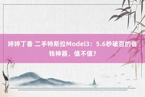 婷婷丁香 二手特斯拉Model3：5.6秒破百的省钱神器，值不值？