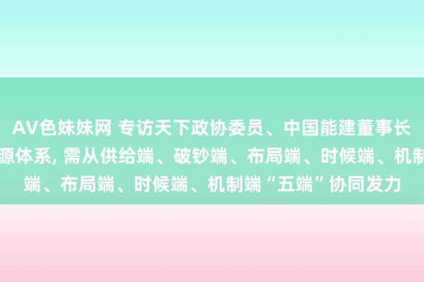 AV色妹妹网 专访天下政协委员、中国能建董事长宋海良: 构建新式能源体系， 需从供给端、破钞端、布局端、时候端、机制端“五端”协同发力