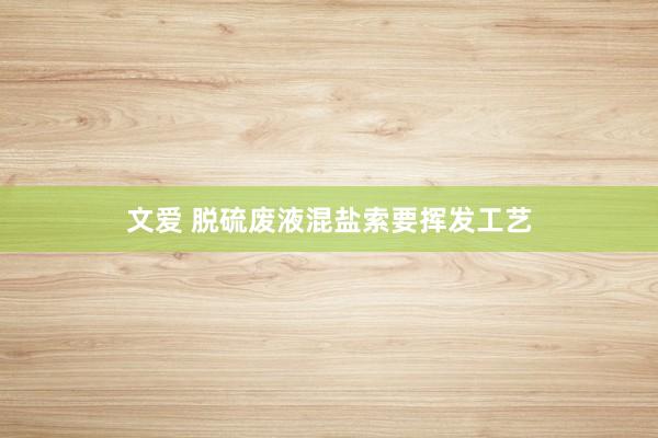 文爱 脱硫废液混盐索要挥发工艺