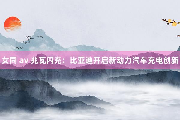 女同 av 兆瓦闪充：比亚迪开启新动力汽车充电创新
